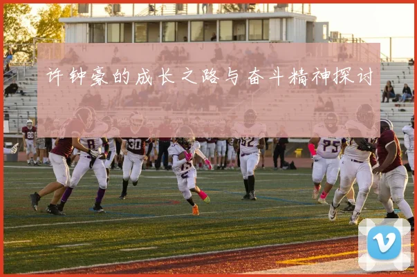 许钟豪的成长之路与奋斗精神探讨